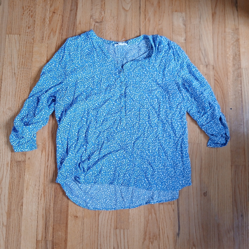 Blue and White Blouse